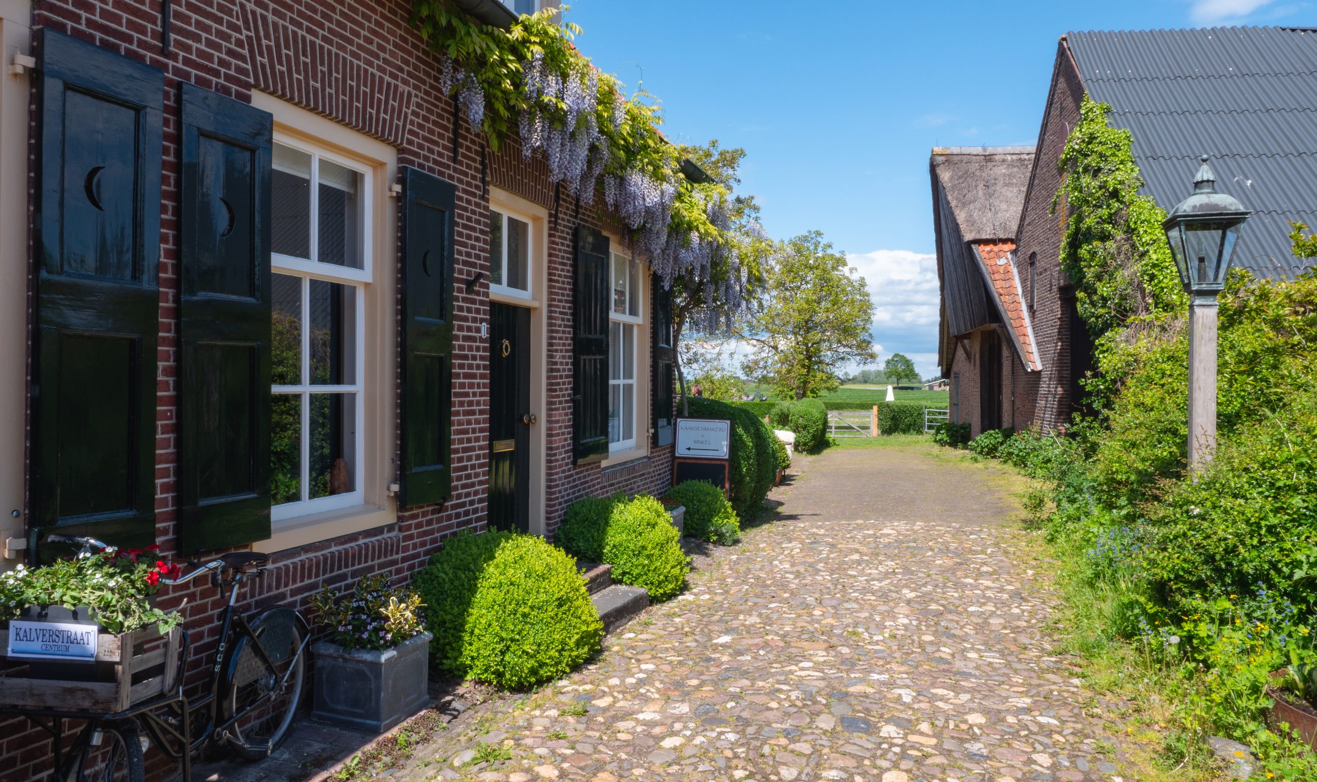 Gouden Leeuw-52